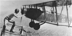 Gladys Image